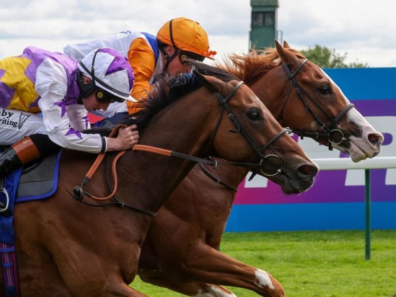 Ten Bob Tony Delivers Memorable Group Success in John of Gaunt Stakes